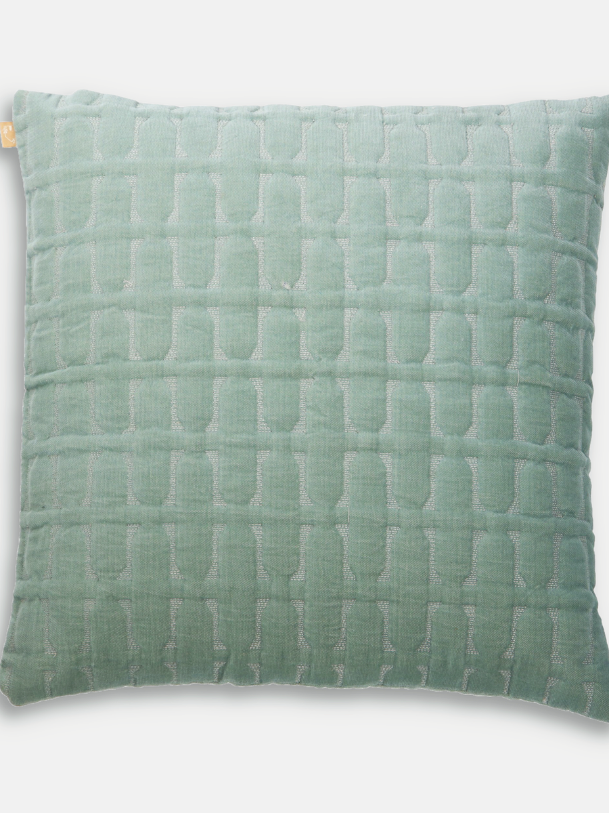Twig Duck Egg Embroidered Velvet Cushion Cover