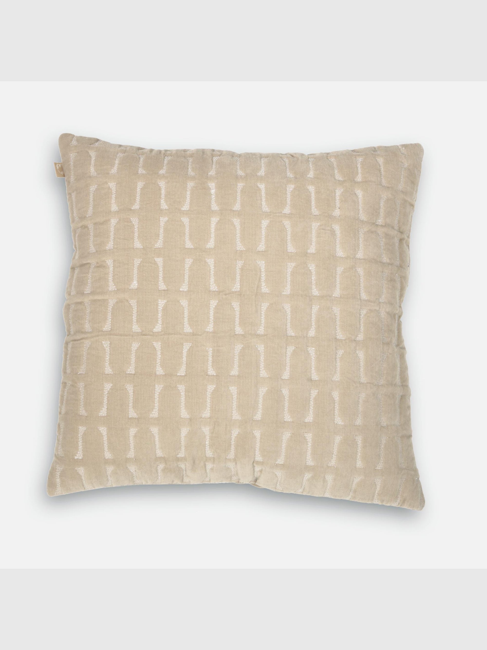 Twig Oatmeal Embroidered Velvet Cushion Cover