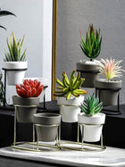 Twin Pots Grey