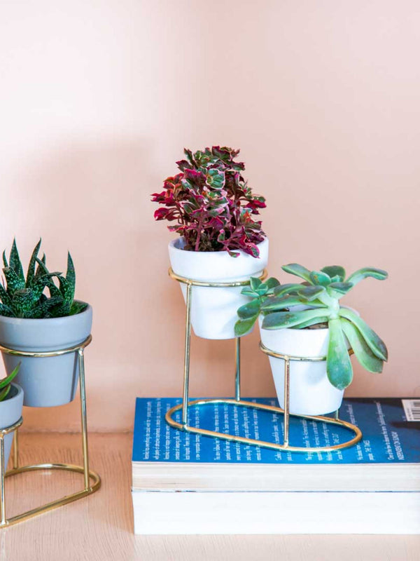 Twin Pots White