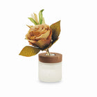 Harmonius Drift-100ML