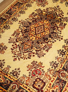 Persian Style Area Rug with Floral Medallion