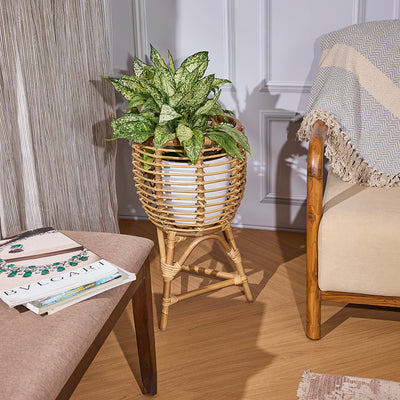 Rattan Planter With Stand
