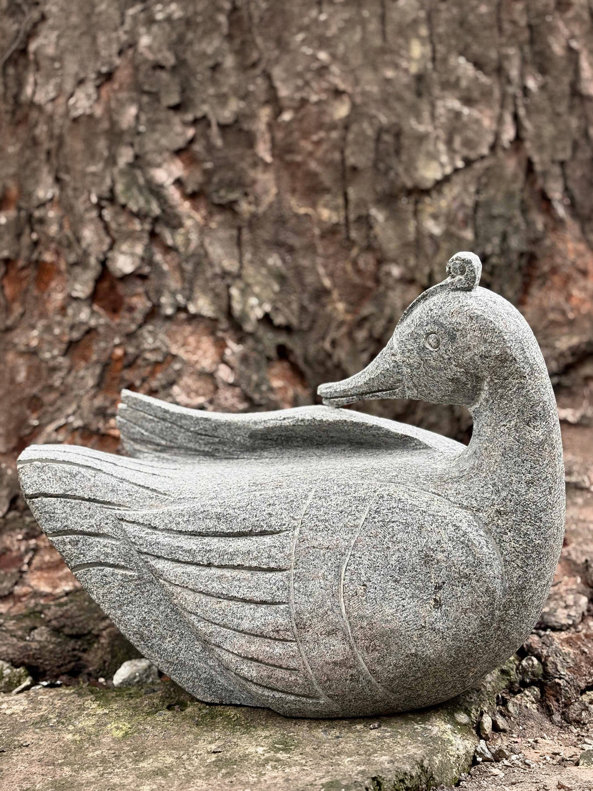 Granite Duck - Product Image 