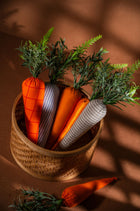Easter Carrots (Set of 6)