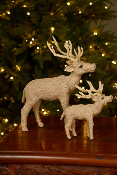 Reindeers (Set of 2)