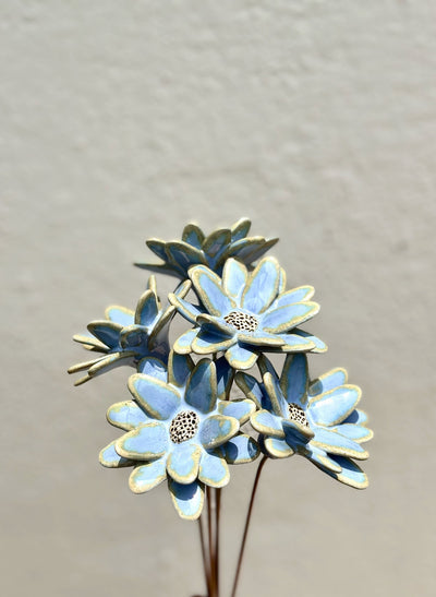 Where Wild Stars Bloom - Blue Magic Single Flower Stem