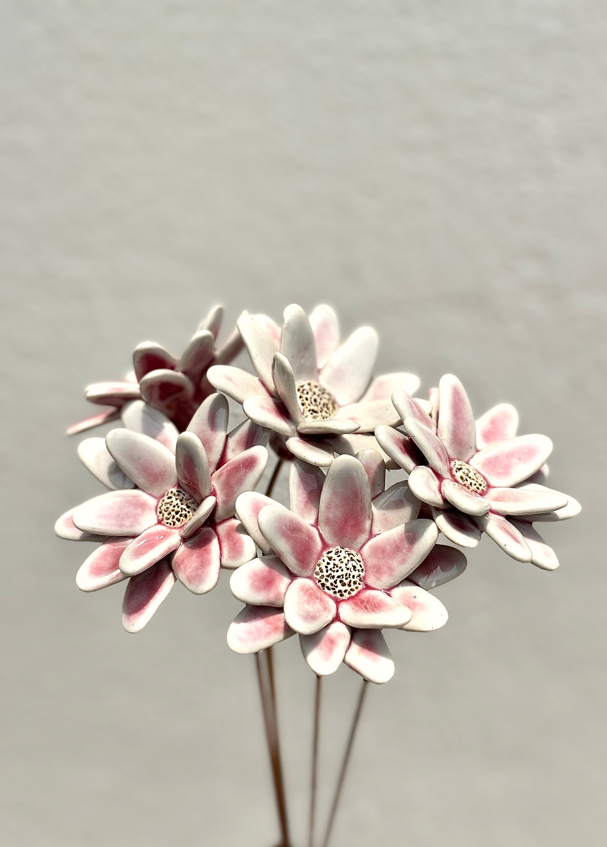Where Wild Stars Bloom - Blush Single Flower Stem - Product Image 