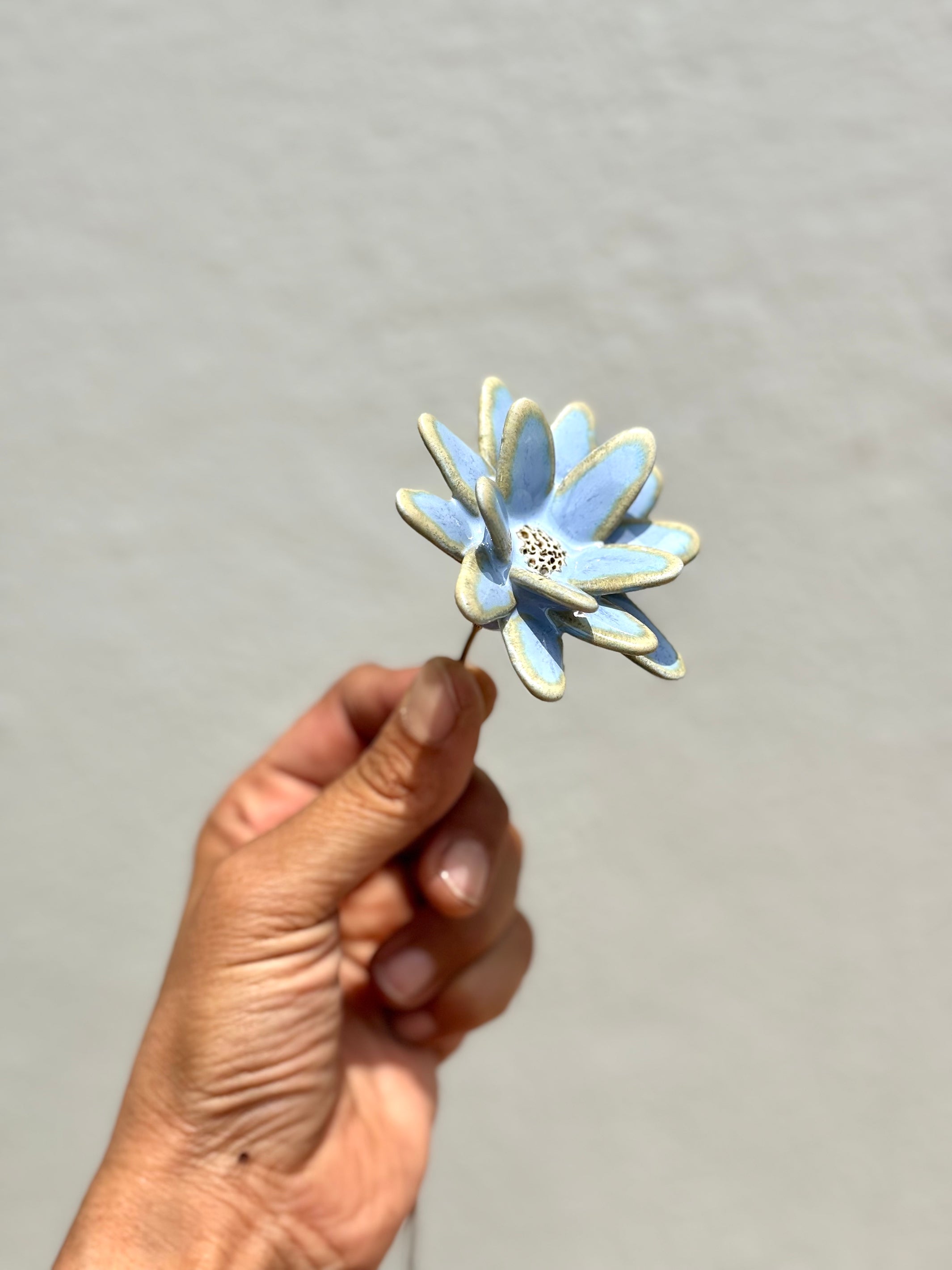 Where Wild Stars Bloom - Blue Magic Single Flower Stem