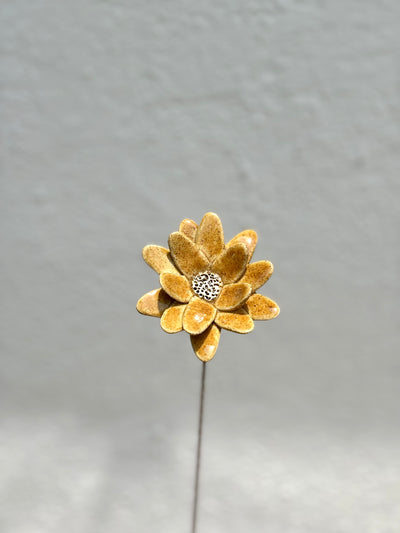 Where Wild Stars Bloom - Mustard- Single Flower Stem