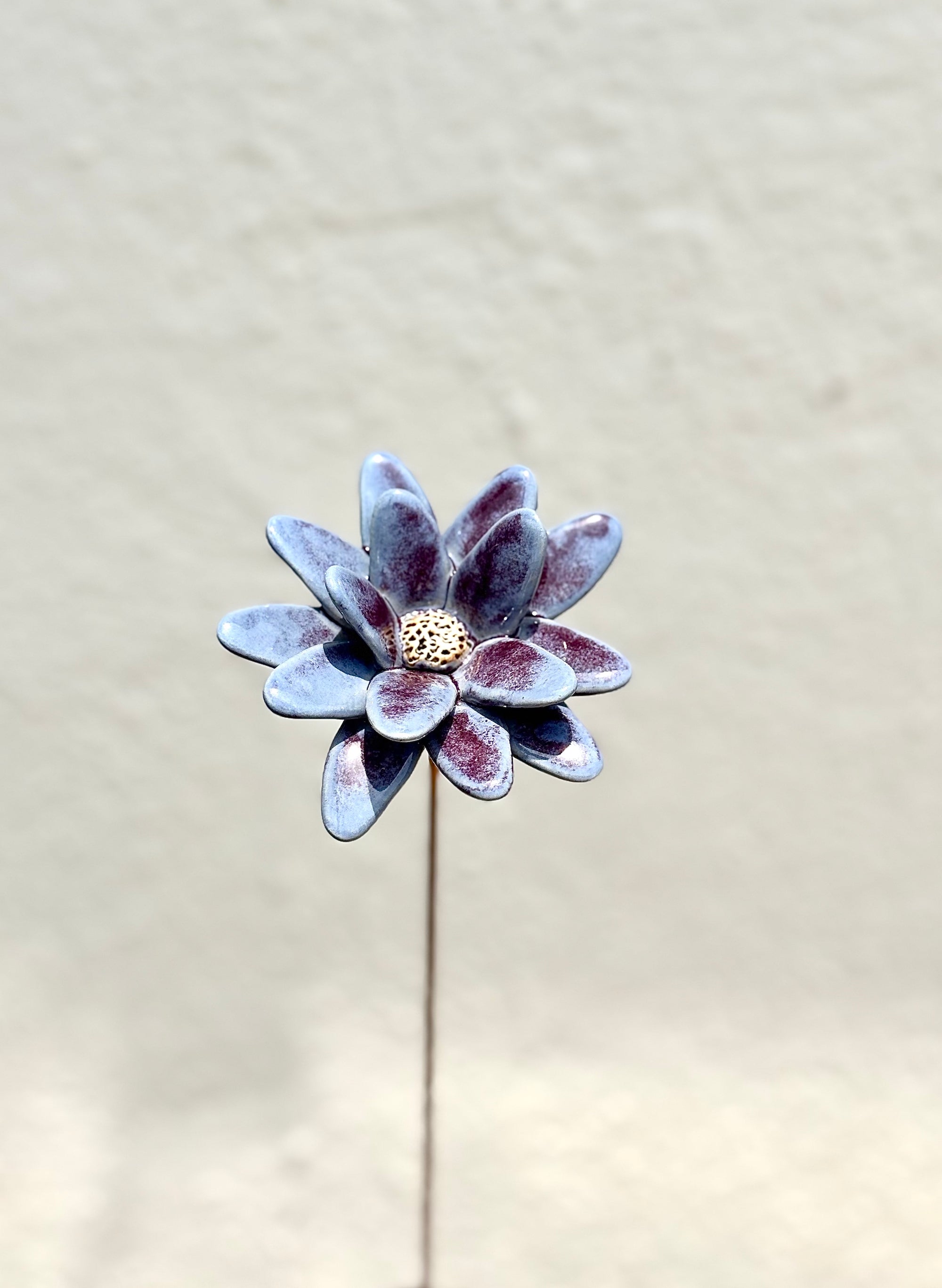 Where Wild Stars Bloom - Purple- Single Flower Stem