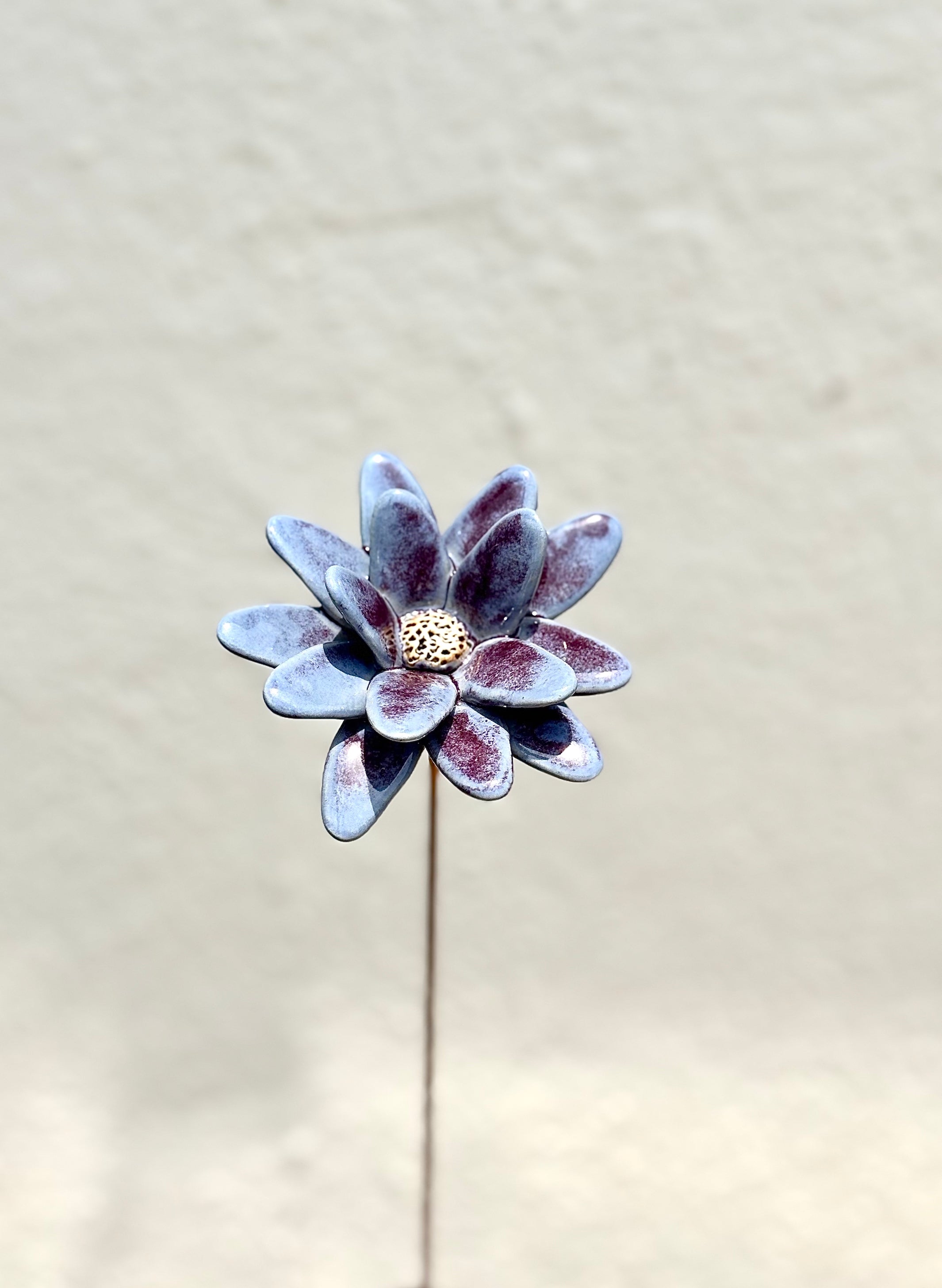 Where Wild Stars Bloom - Purple- Single Flower Stem