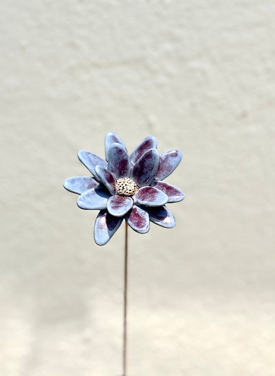 Where Wild Stars Bloom - Purple- Single Flower Stem
