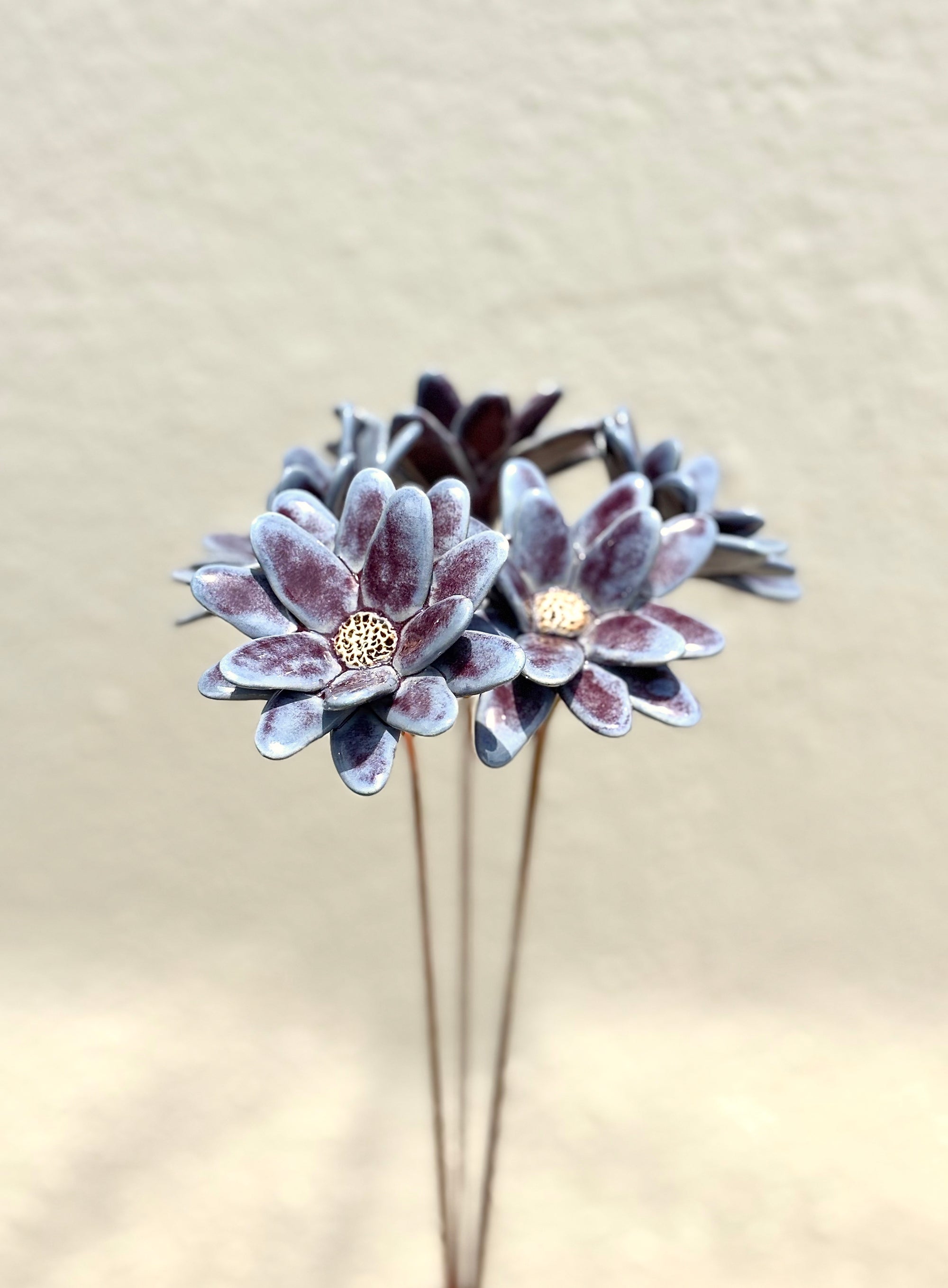 Where Wild Stars Bloom - Purple- Single Flower Stem