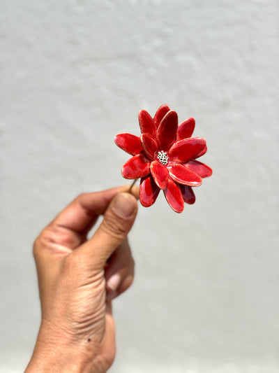 Where Wild Stars Bloom - Bright Red- Single Flower Stem