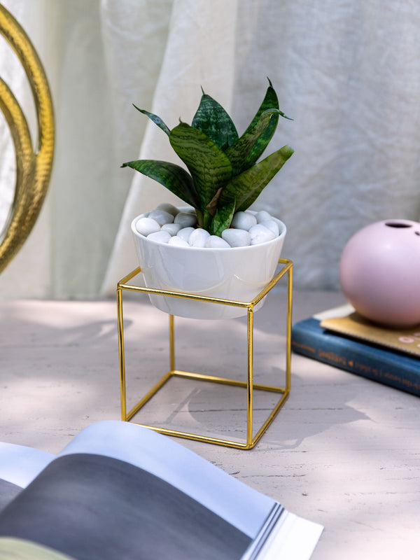 White Gold Square Planter
