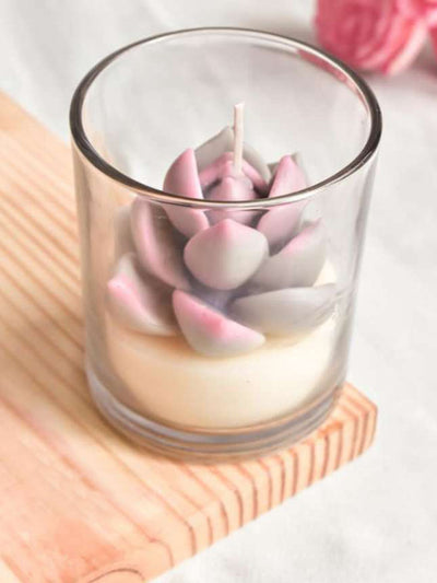 White Soy Scented Candle With Succulent On Top