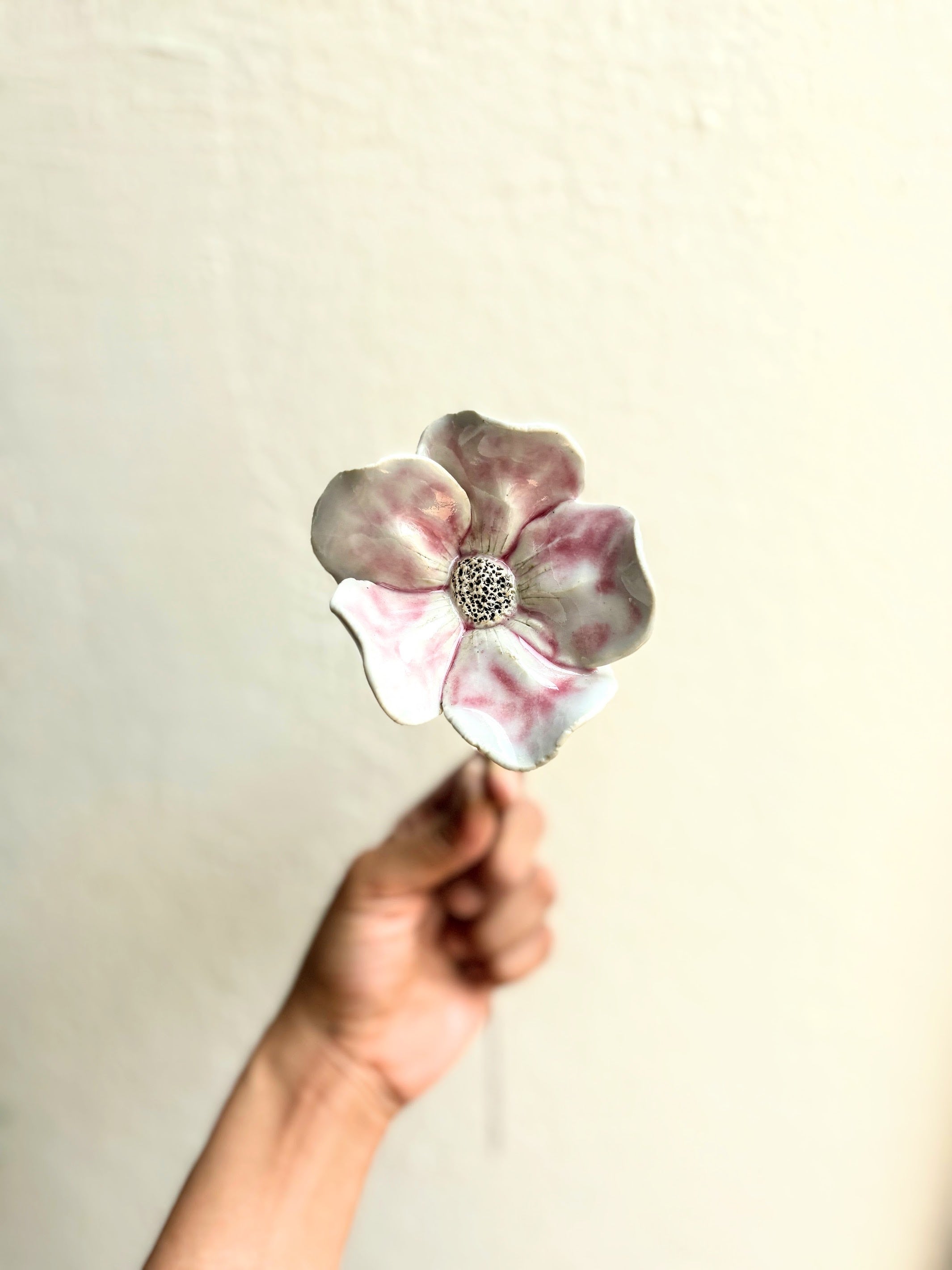 Wild Camillias - Blushing White