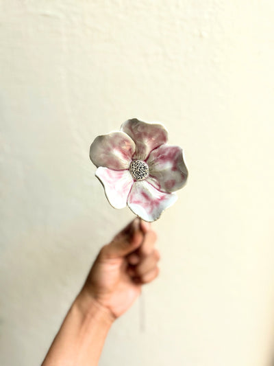 Wild Camillias - Blushing White