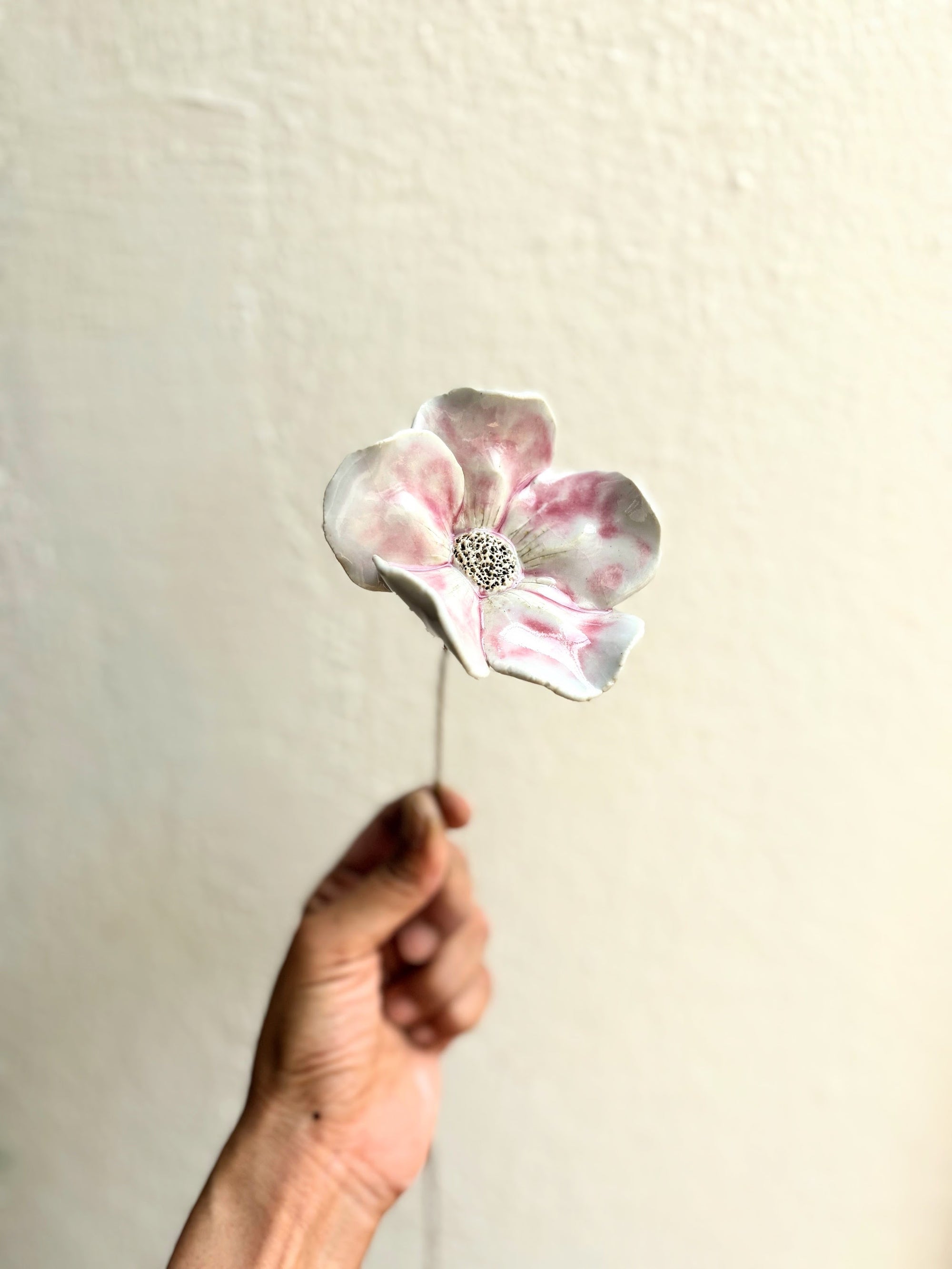 Wild Camillias - Blushing White