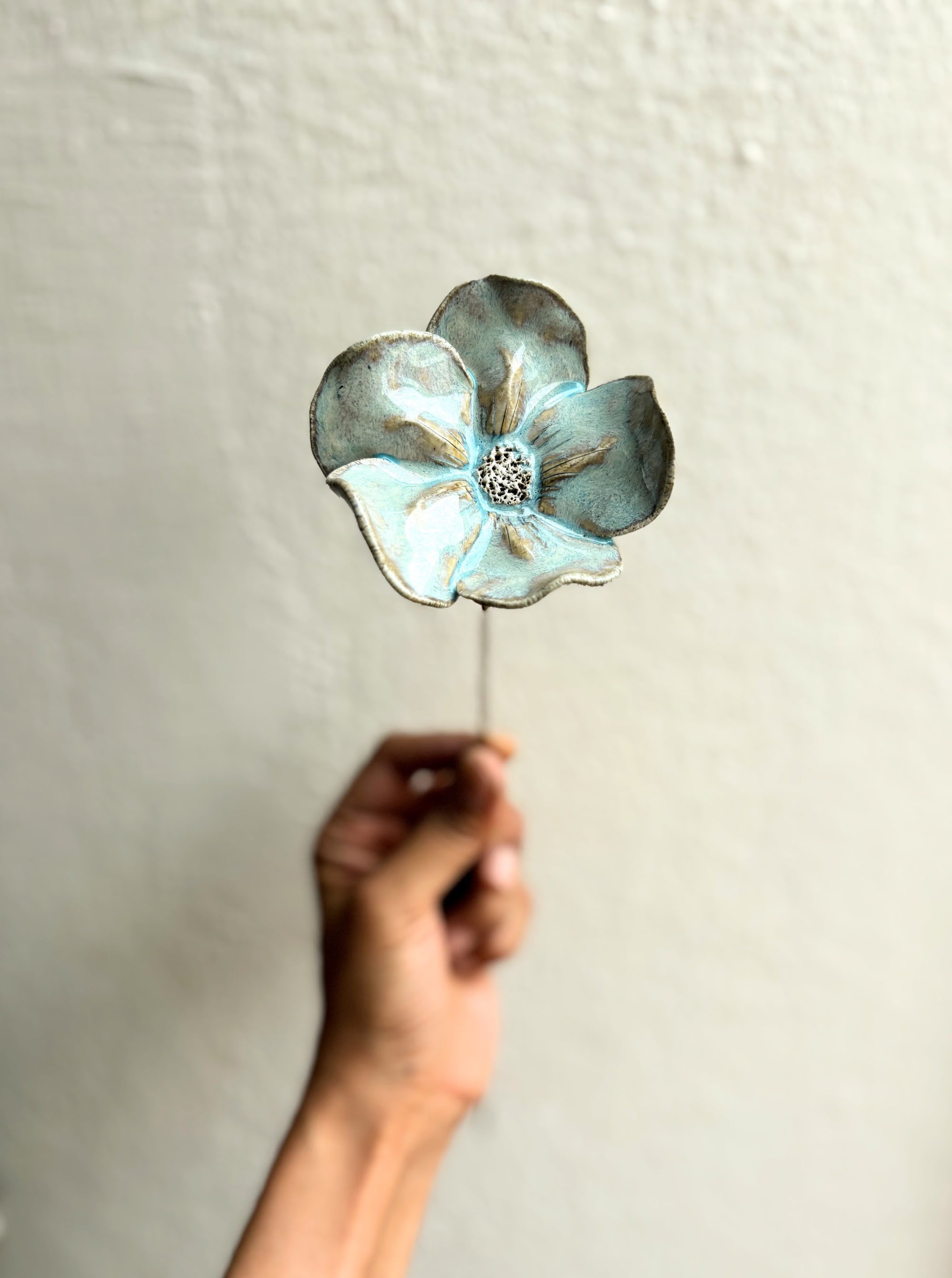 Wild Camillias - Heavenly Blue