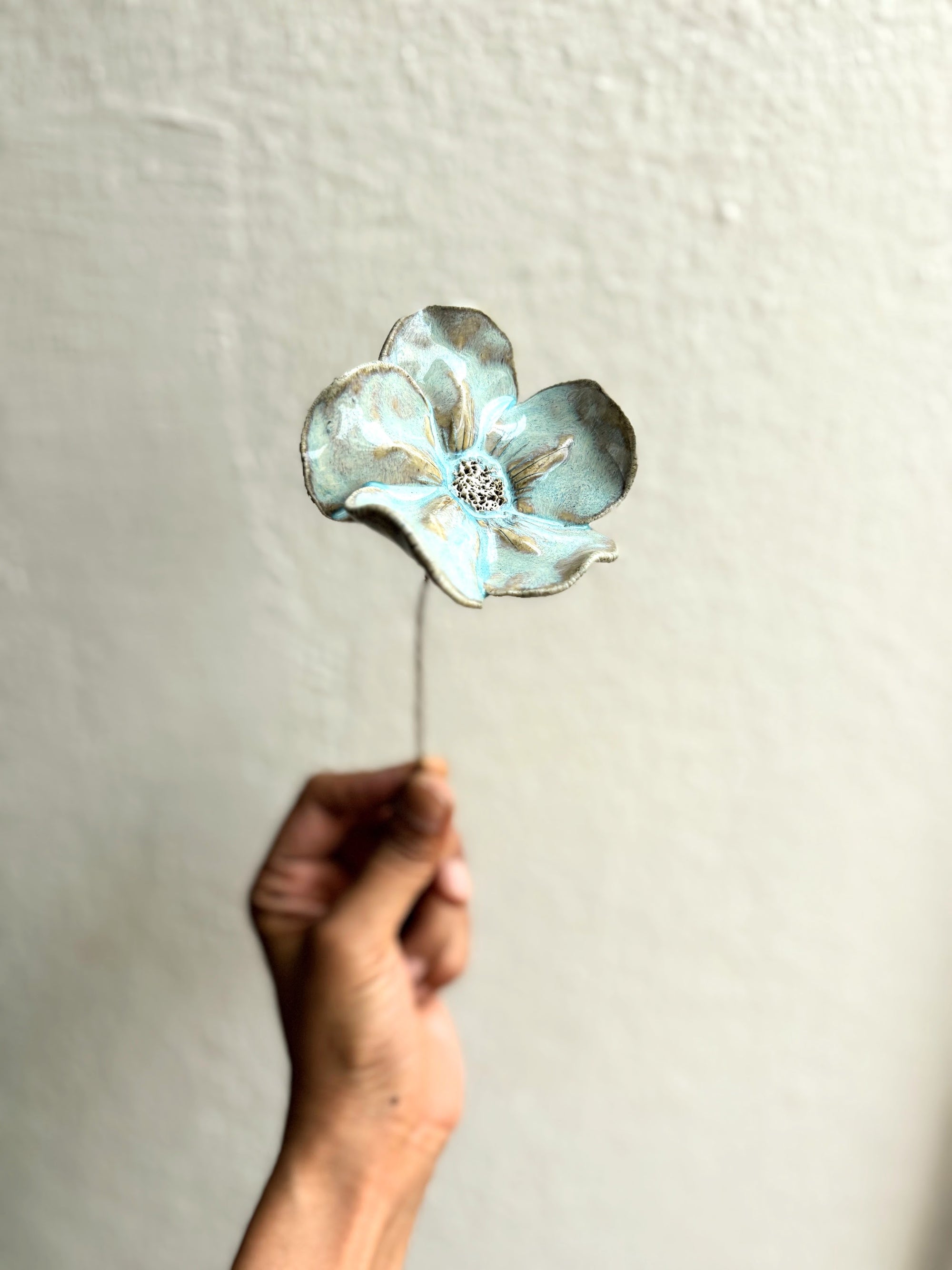 Wild Camillias - Heavenly Blue
