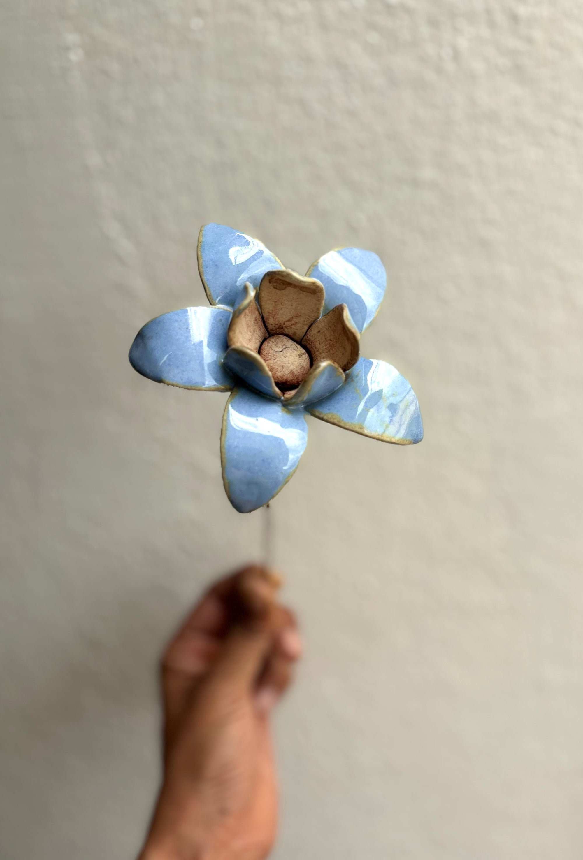Wild Stars - Powder Blue Single Flower Stem