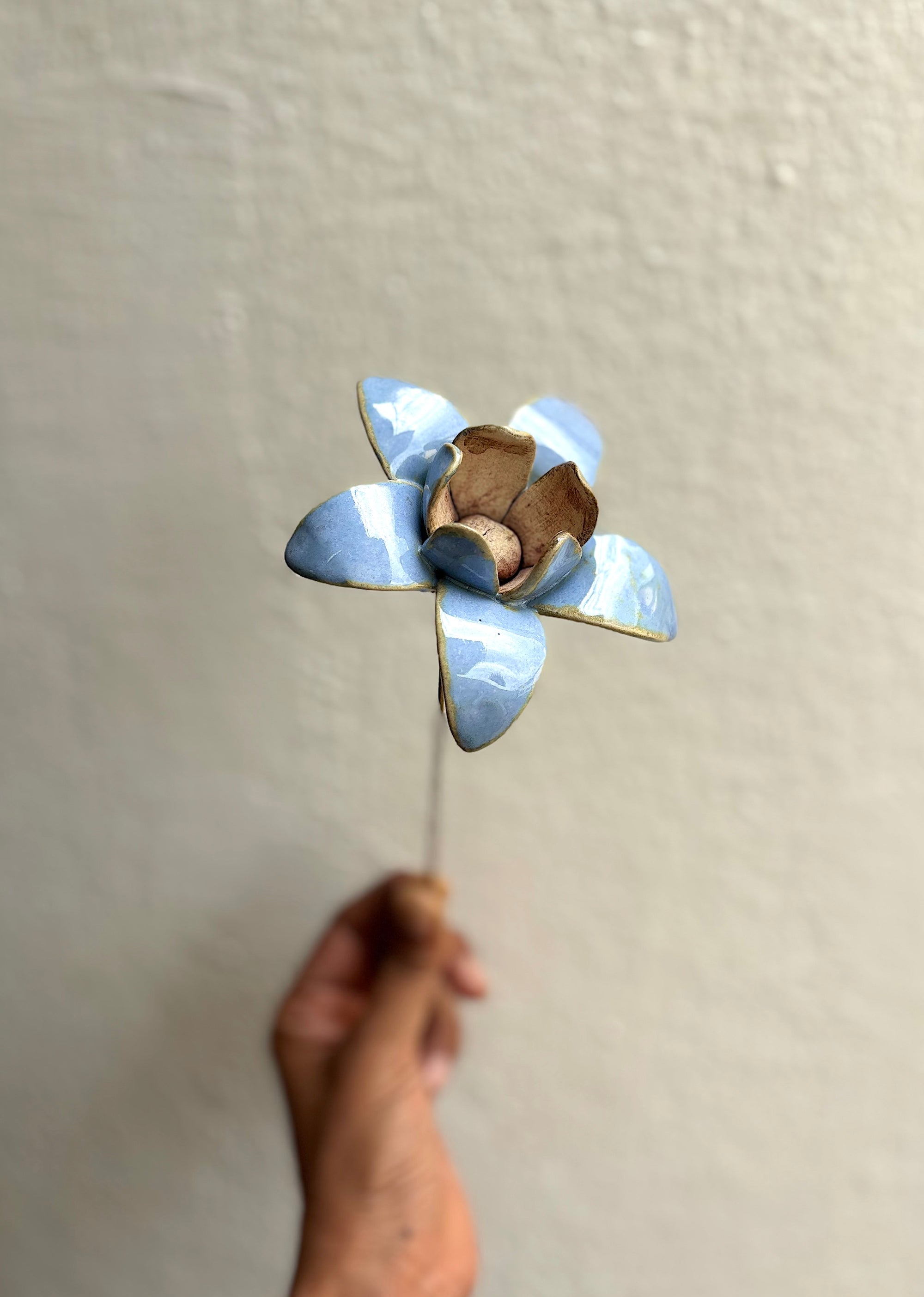Wild Stars - Powder Blue Single Flower Stem