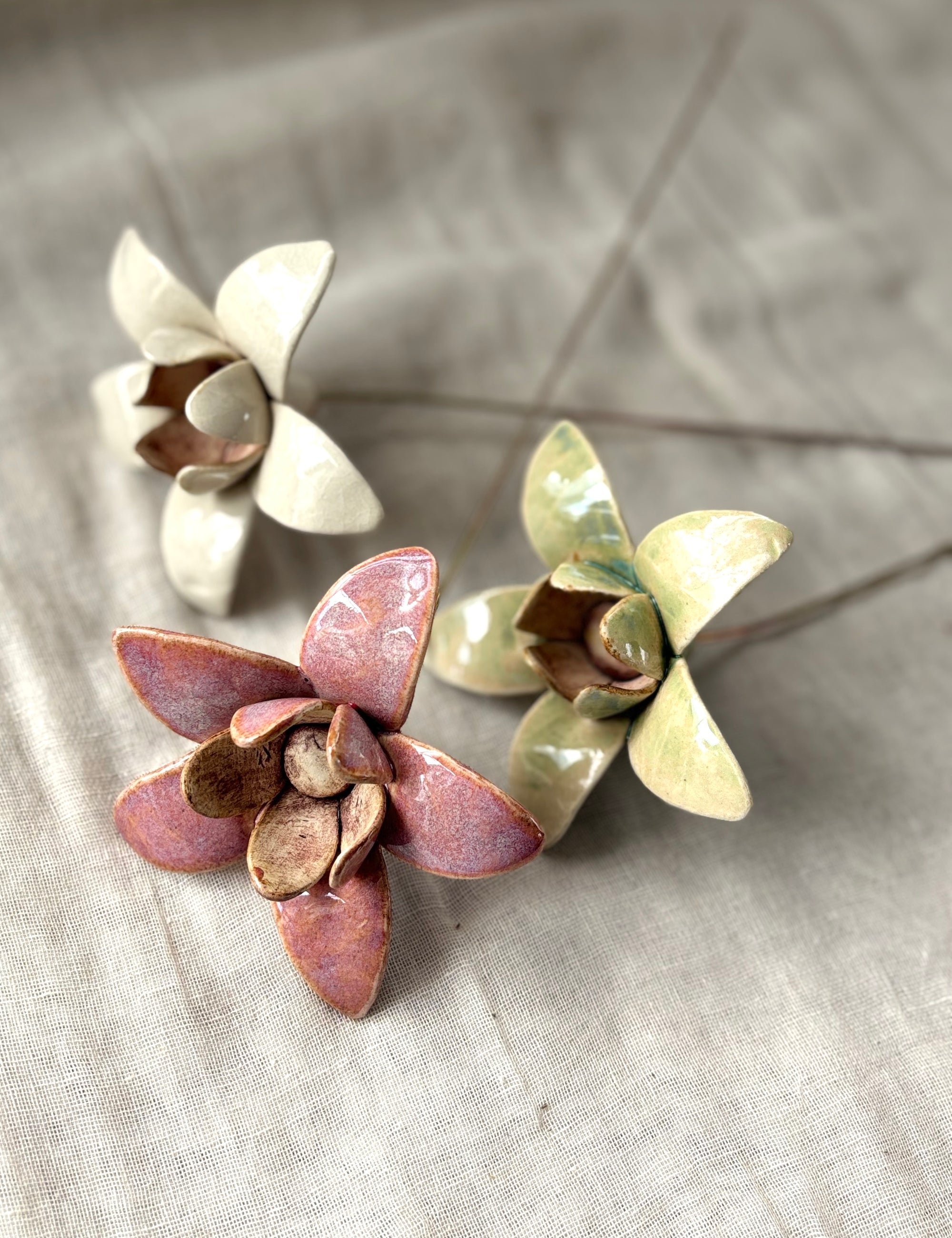 Wild Stars  - Ice Green Single Flower Stem