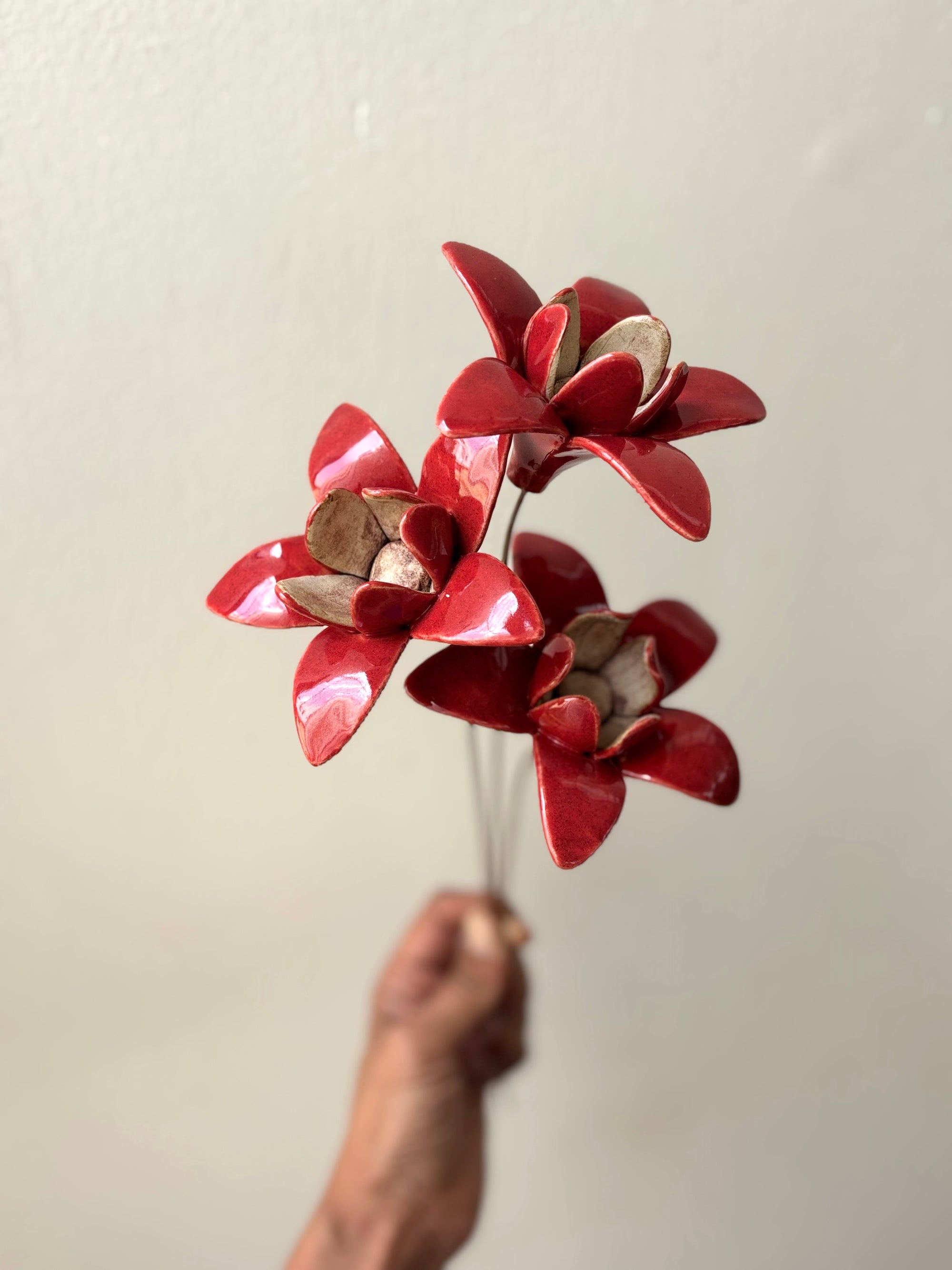 Wild Stars  - Red Single Flower Stem
