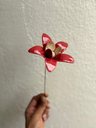 Wild Stars  - Red Single Flower Stem