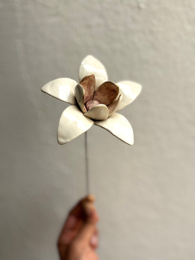 Wild Stars  - White Single Flower Stem