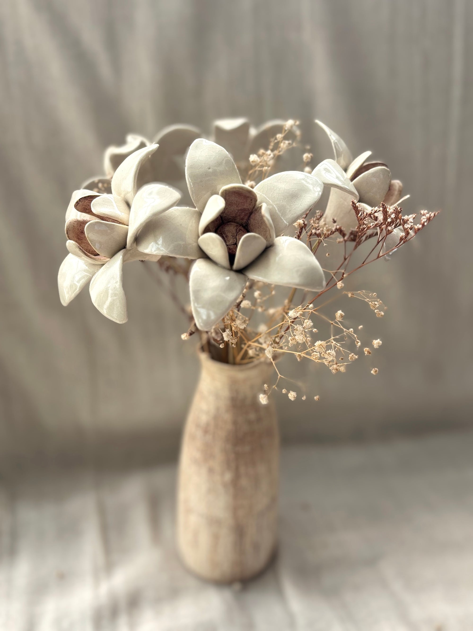 Wild Stars  - White Single Flower Stem