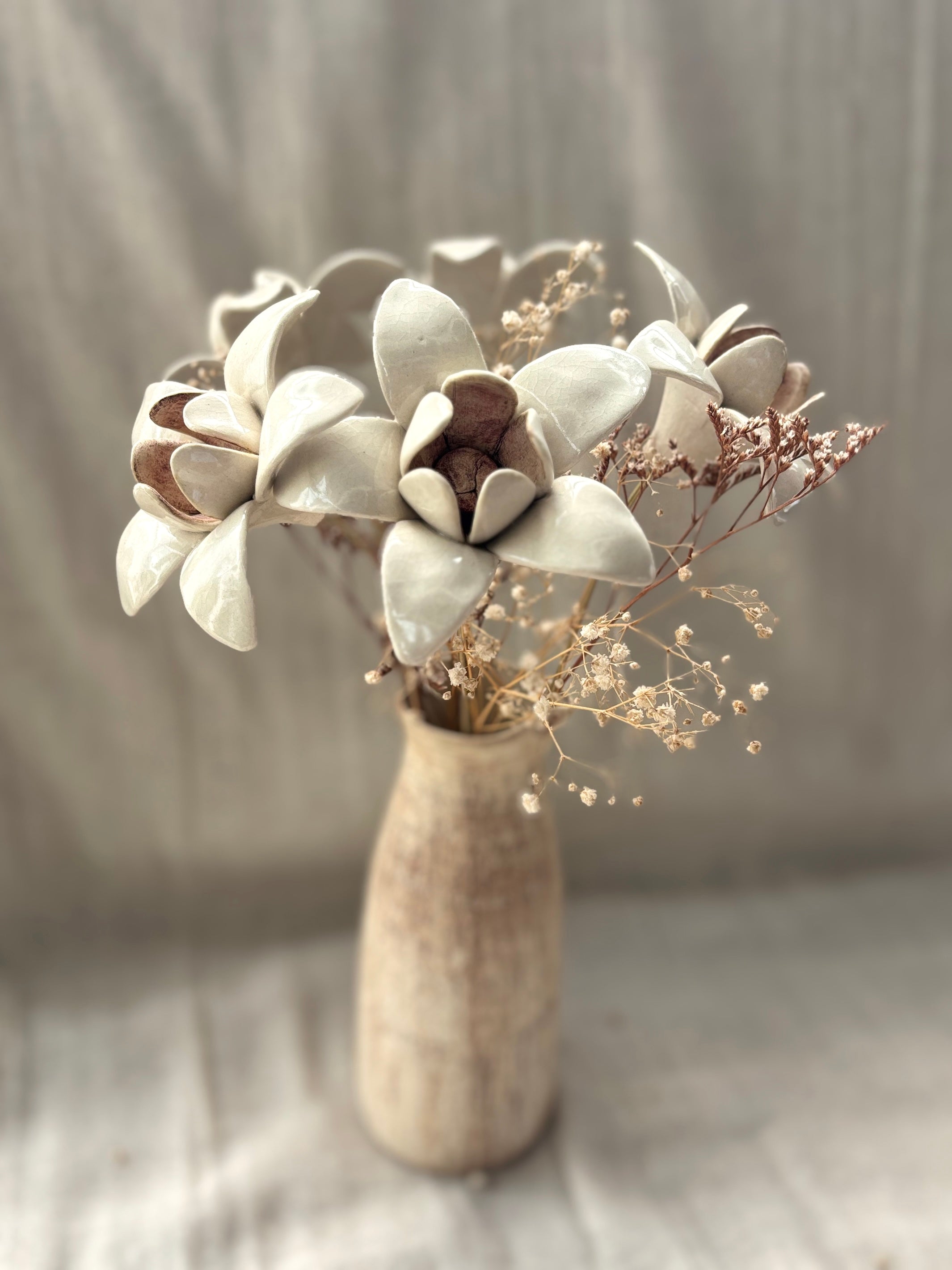 Wild Stars  - White Single Flower Stem