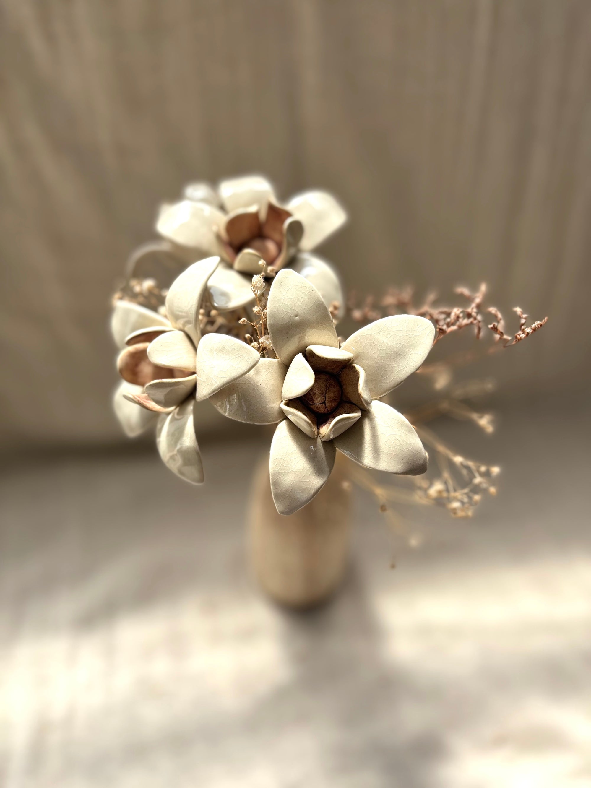 Wild Stars  - White Single Flower Stem
