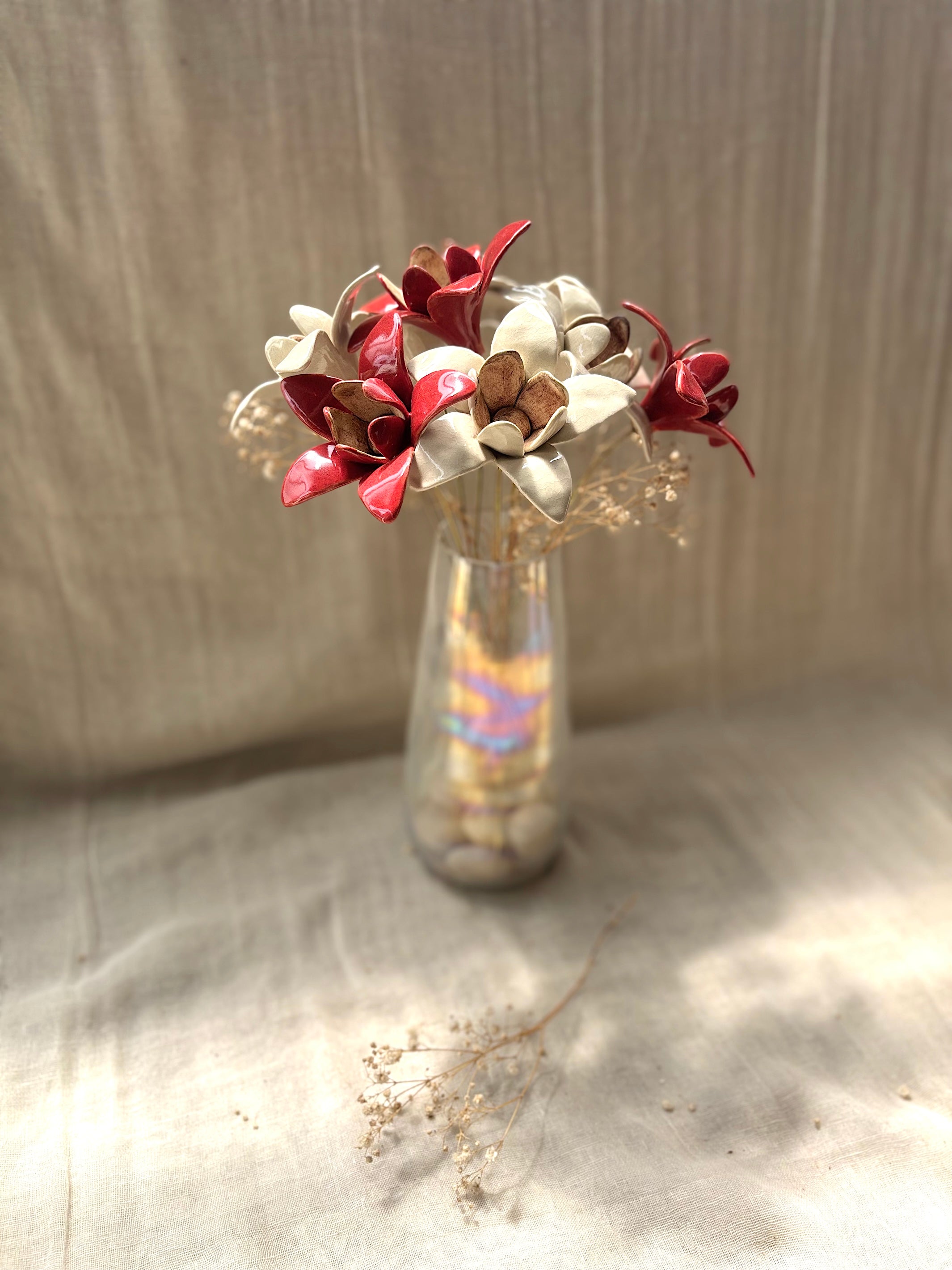 Wild Stars  - Red Single Flower Stem