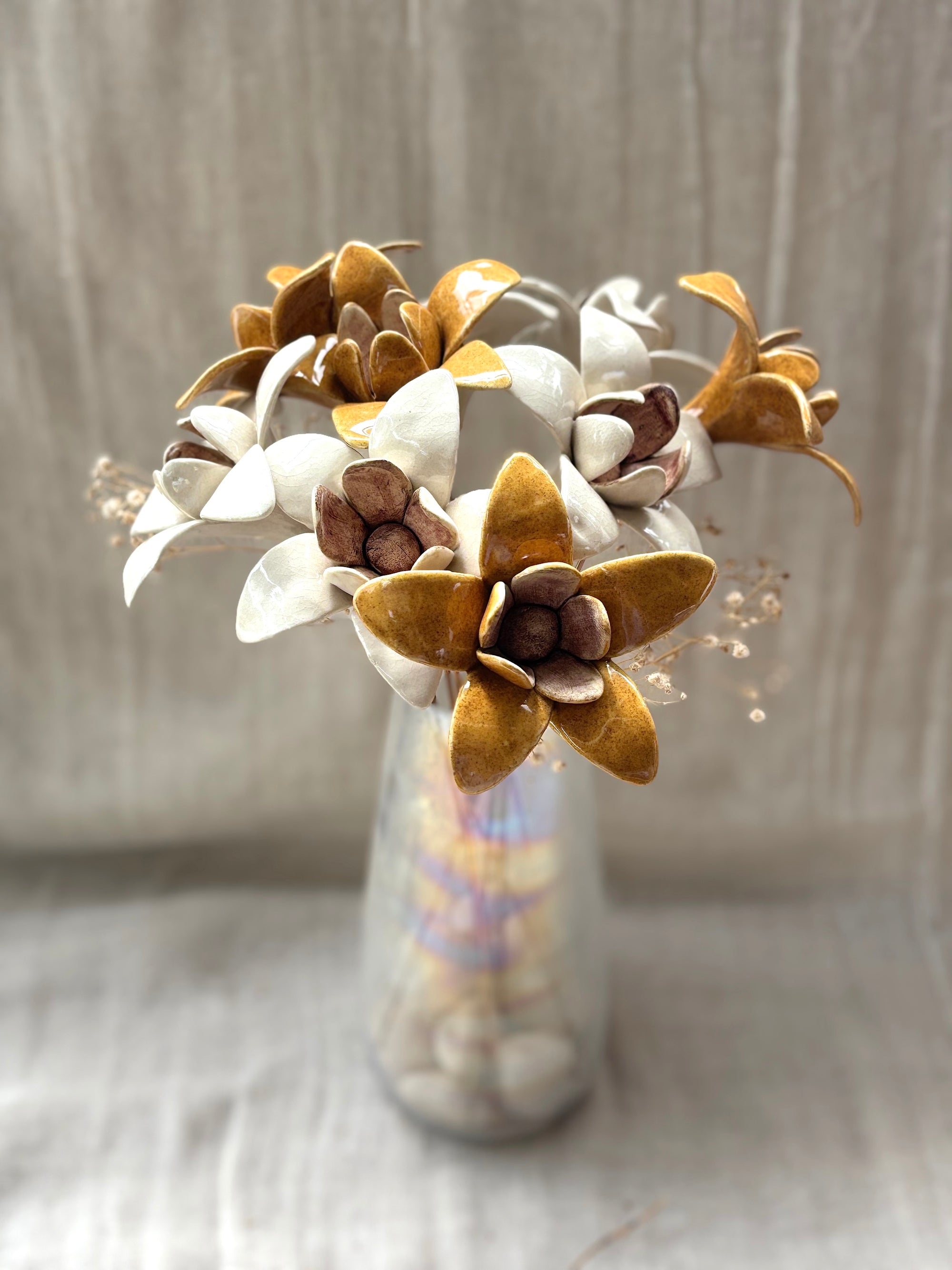 Wild Stars  - Mustard Single Flower Stem