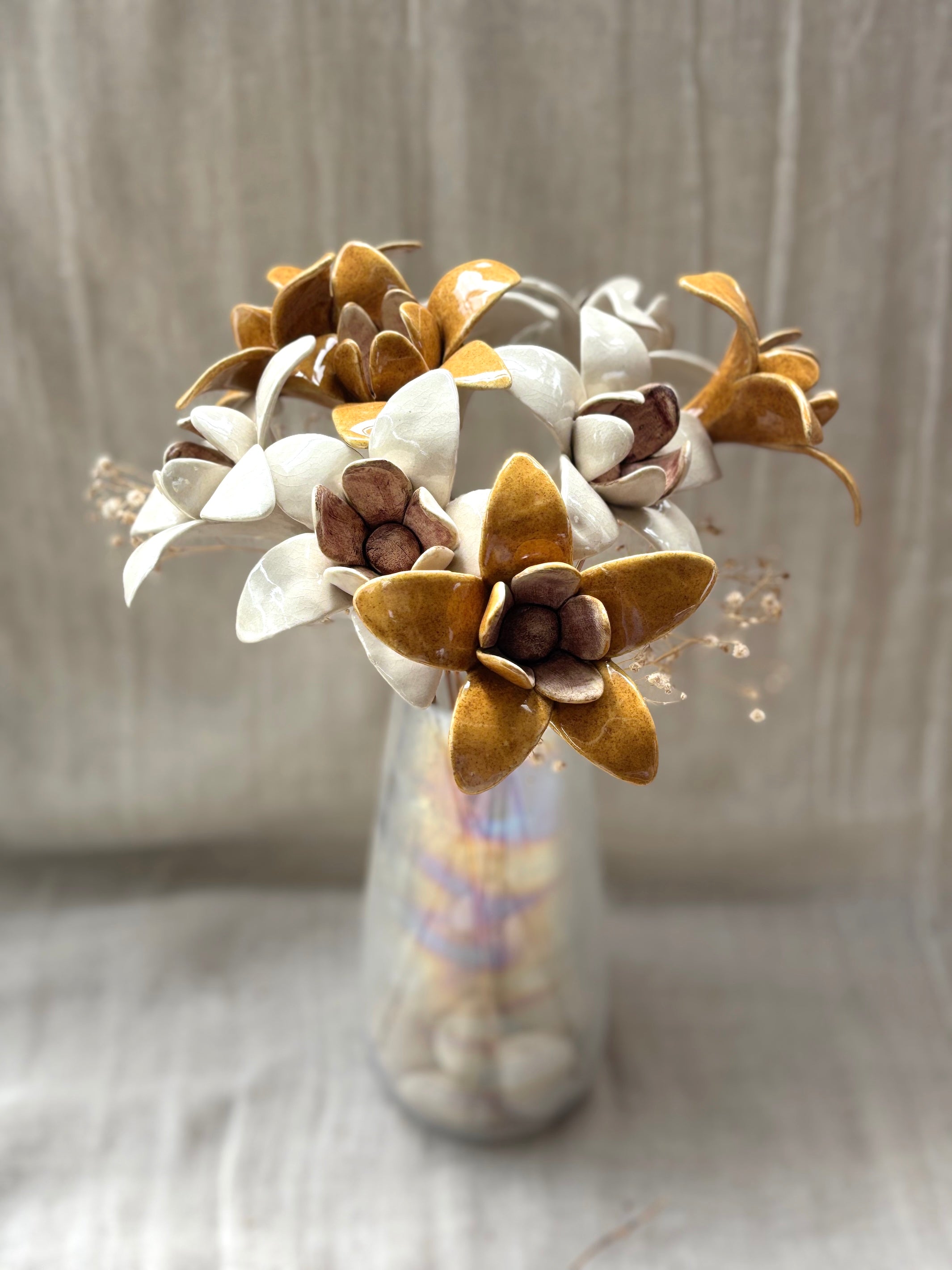 Wild Stars  - Mustard Single Flower Stem
