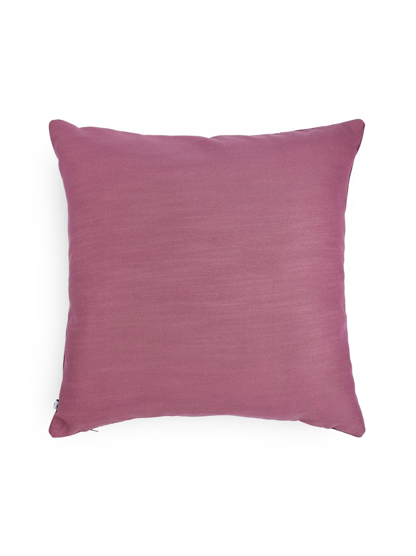 Hand Painted Cushion Cover - Wilderness Fuchsia