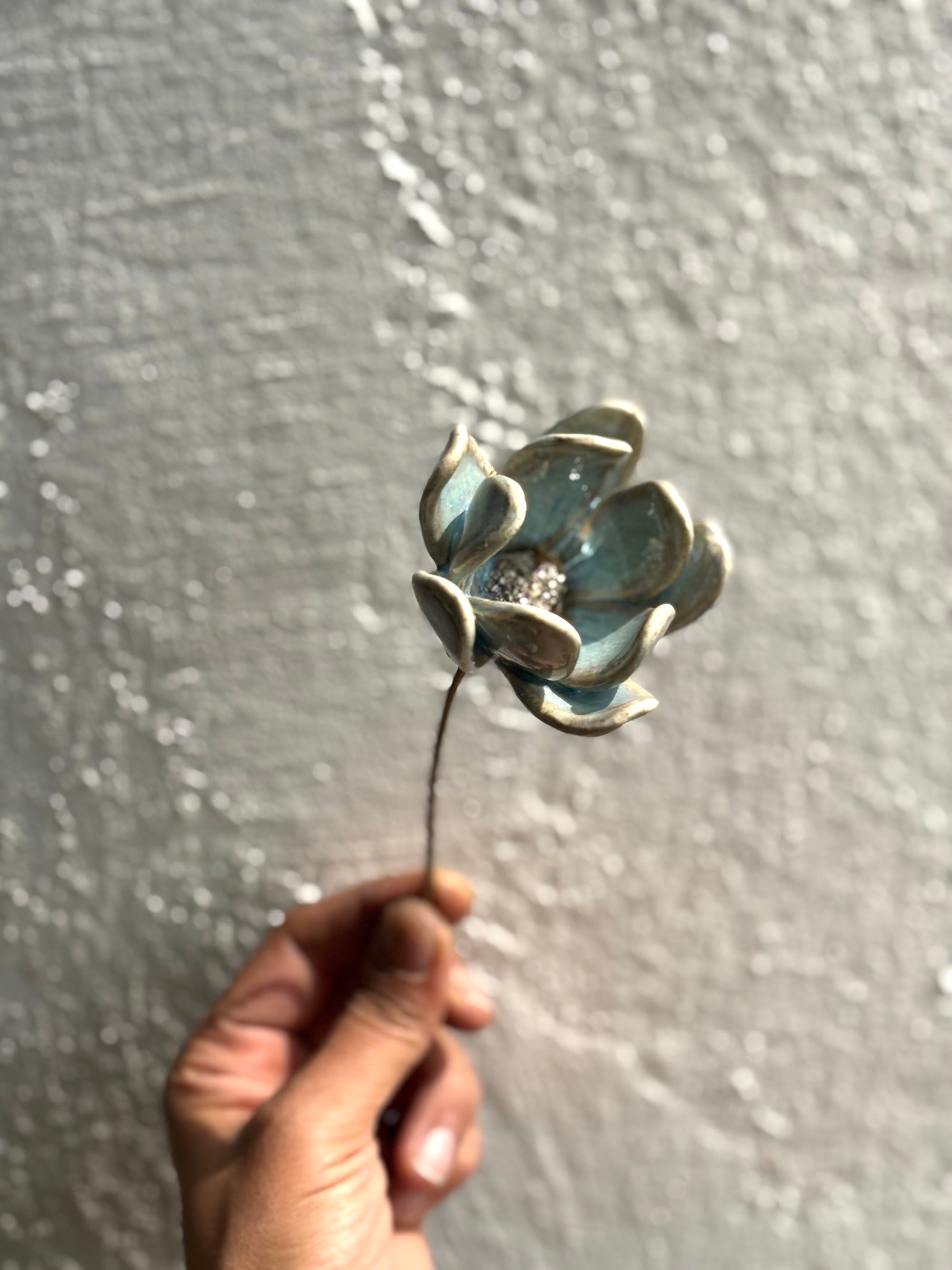 Zephyrlily Baby blue