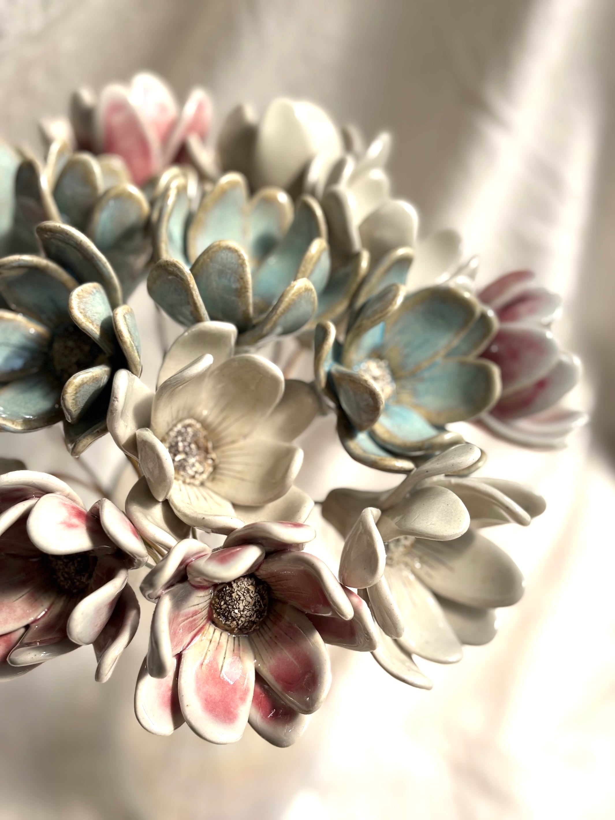 Zephyrlily Baby blue