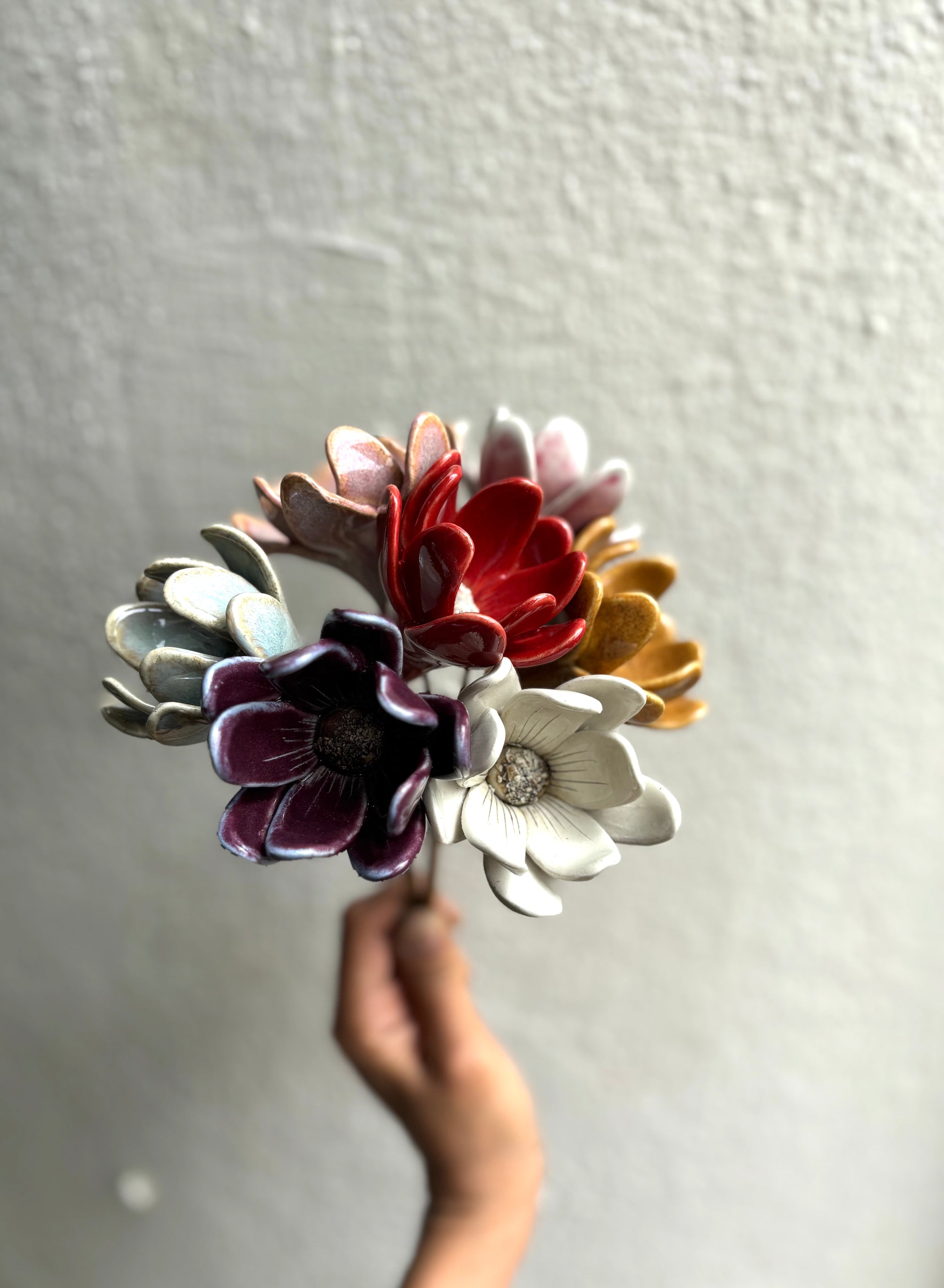 Zephyrlily Mustard Flower