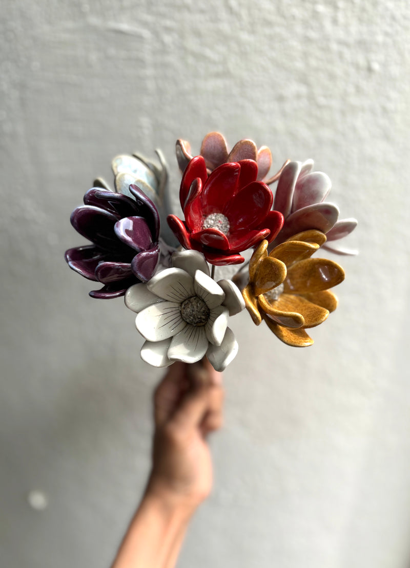Zephyr lily - White