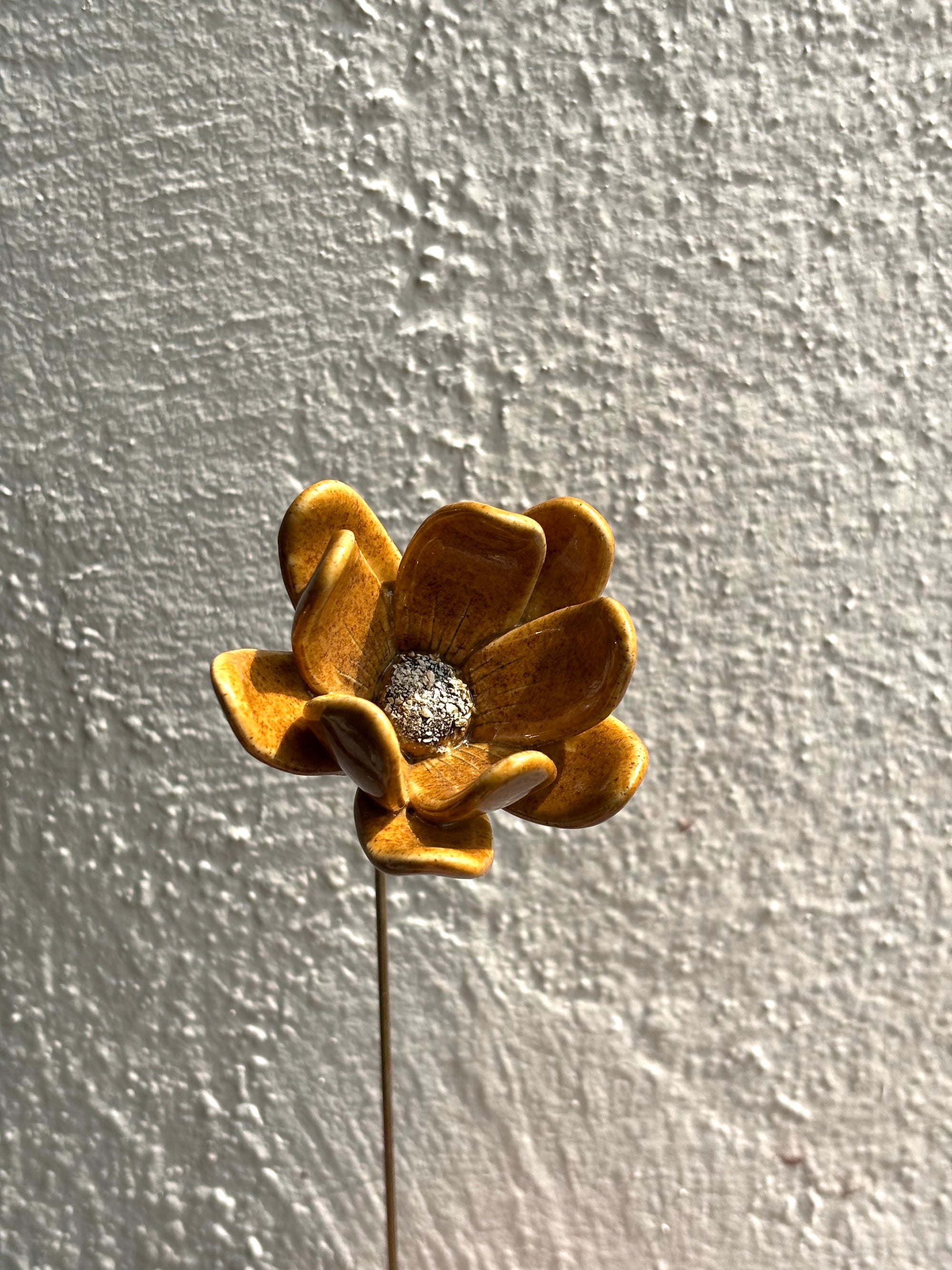 Zephyrlily Mustard Flower