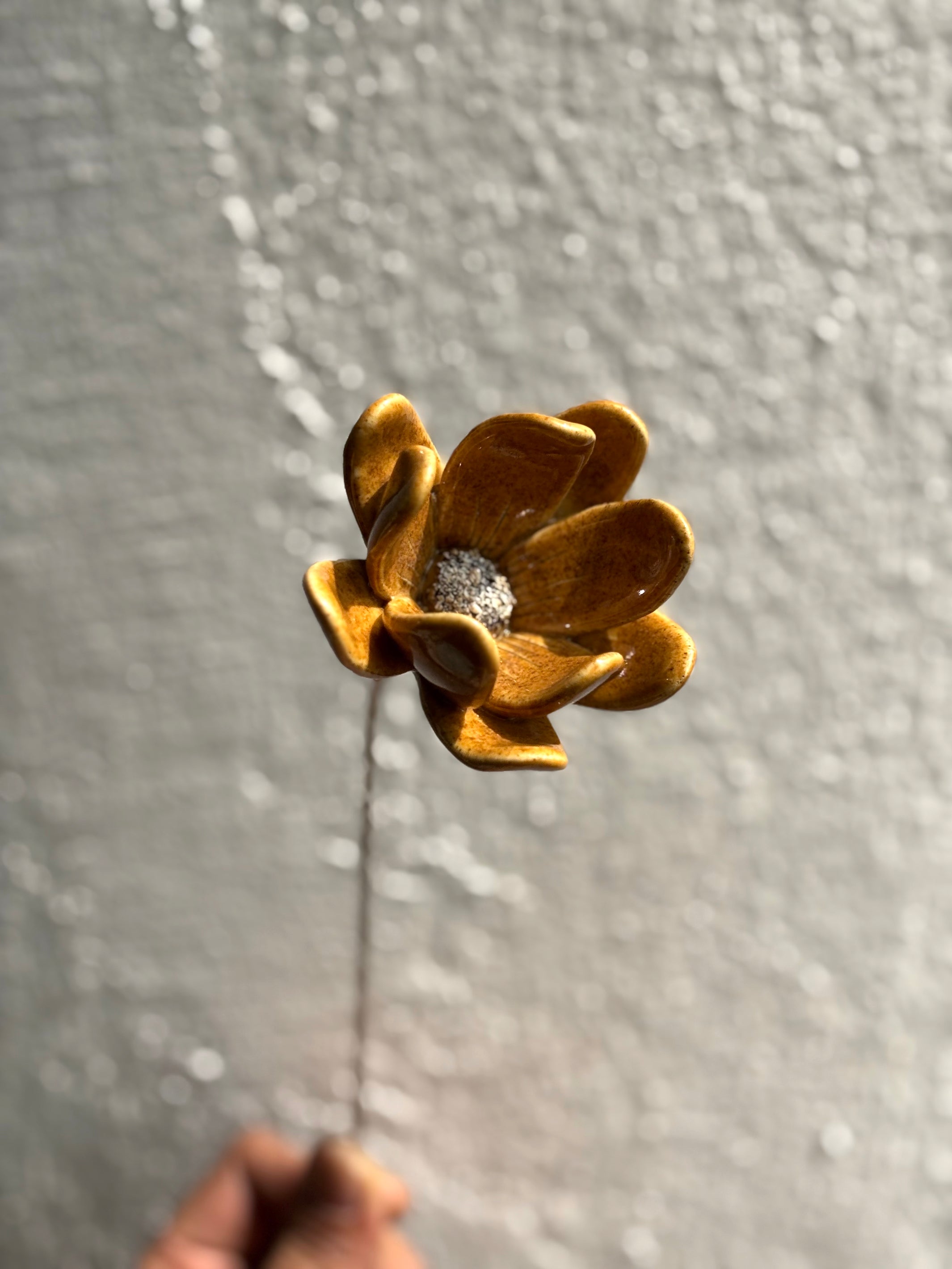 Zephyrlily Mustard Flower