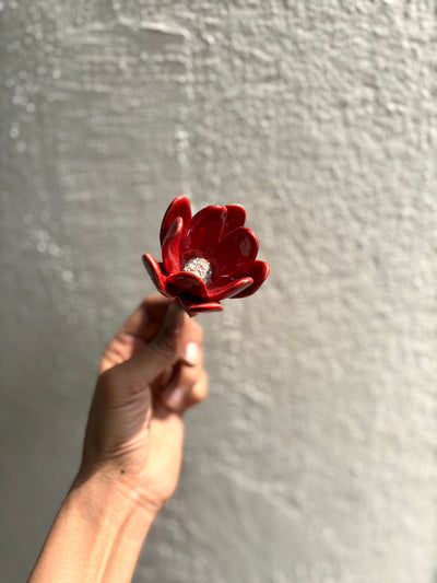 Zephyrlily Red Flower