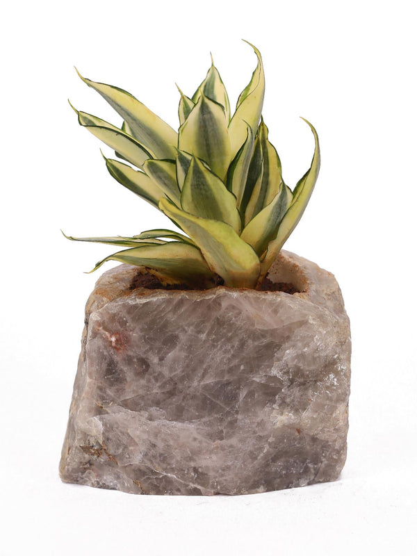 Semi Precious Planter - Smokey Grey Quartz