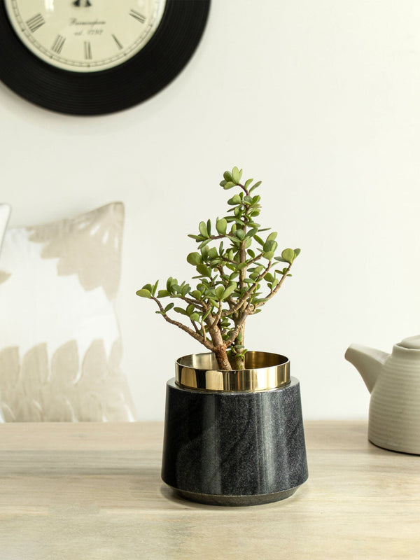 Black Marble Oronoir Planter