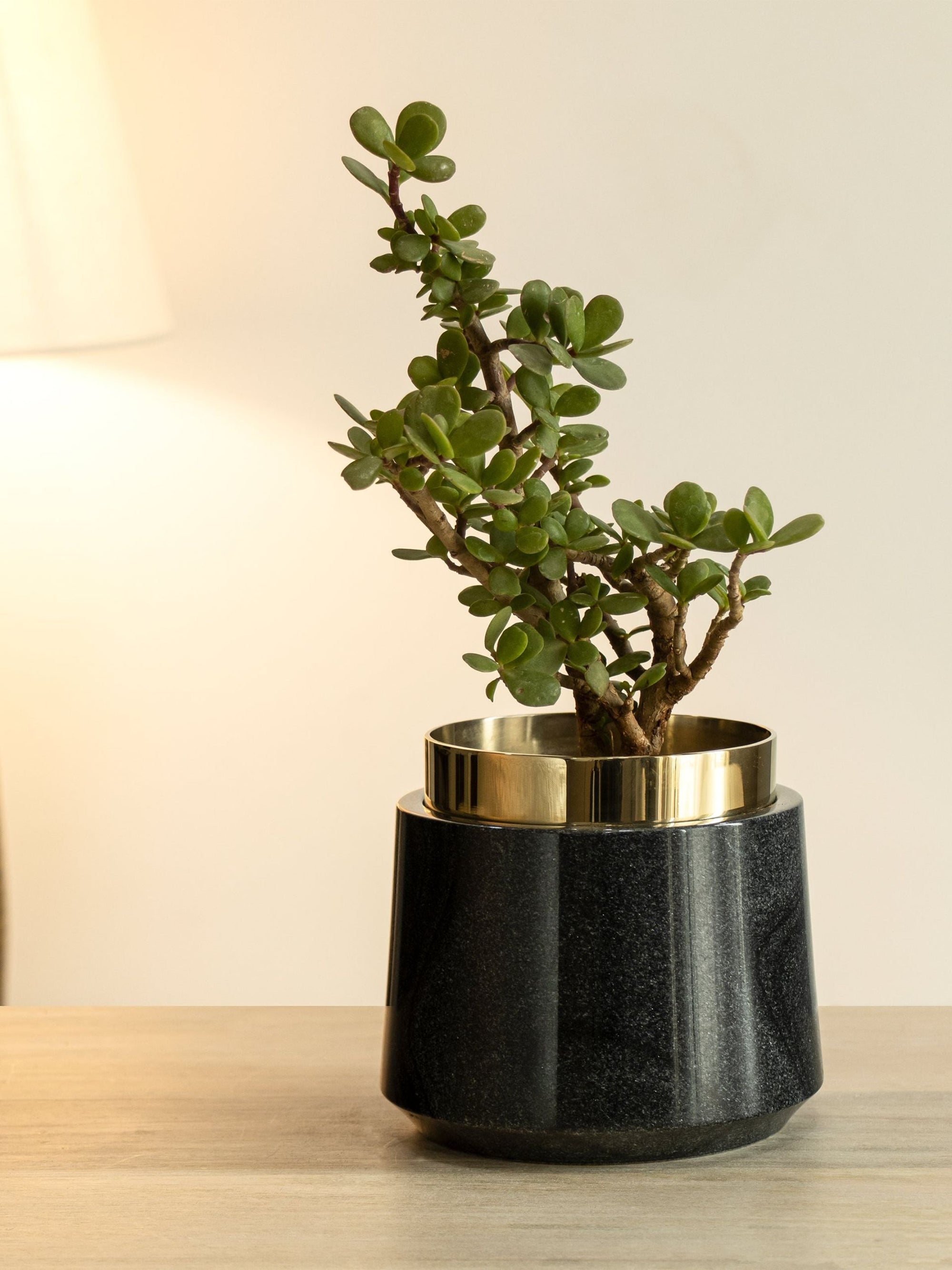 Black Marble Oronoir Planter