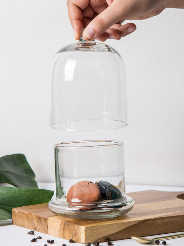 Glass Bell Jar - White